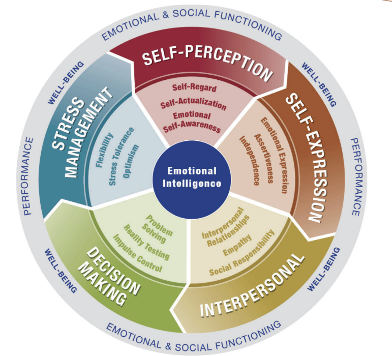 EQ-i 2.0 emotional intelligence wheel showing Self-Perception, Self-Expression, Interpersonal, Decision Making and Stress Management